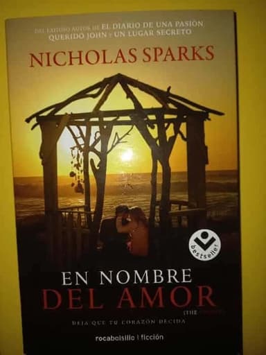 En nombre del amor 