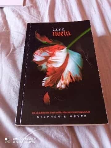 Luna nueva