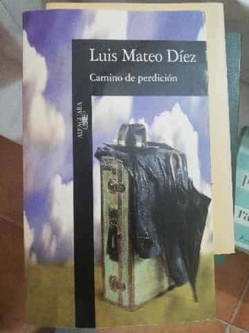 Camino de perdición