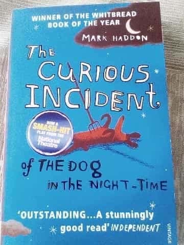 The Curious Incident of the Dog in the Night-Time