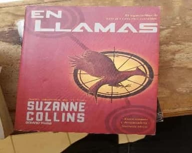 en llamas 