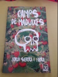 Camps de maduixes