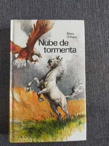 Nube de tormenta