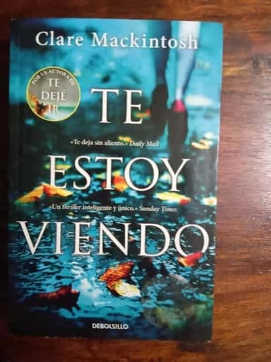 Te estoy viendo-Clare Mackintosh
