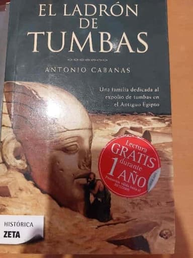 ladrón de tumbas