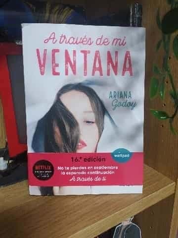 A través de mi ventana. 