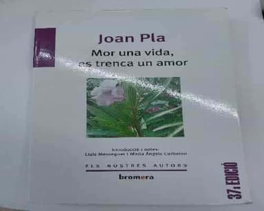 Mor una vida, es trenca un amor