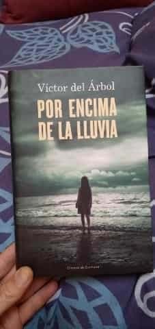 POR ENCIMA DE LA LLUVIA