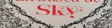 En busca de Sky