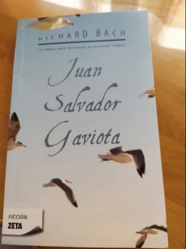 Juan Salvador Gaviota