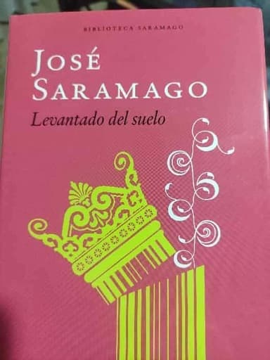 Levantado del suelo