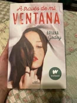 A traves de mi ventana 