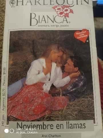 Noviembre en llamas