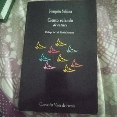 Ciento volando de catorce