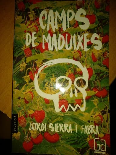 Camps de maduixes