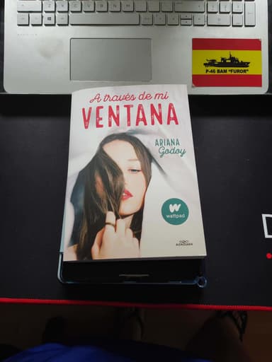 A través de mi ventana