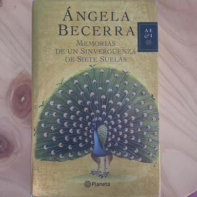 Memorias de un sinvergüenza de siete suelas