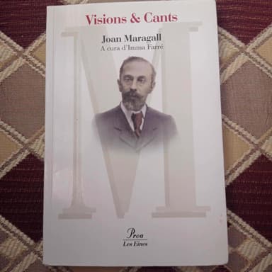 Visions i cants