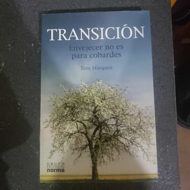 TRANSICION by MARQUEZ TERE