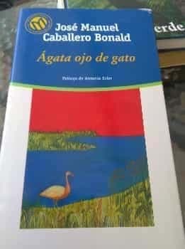 Ágata ojo de gato