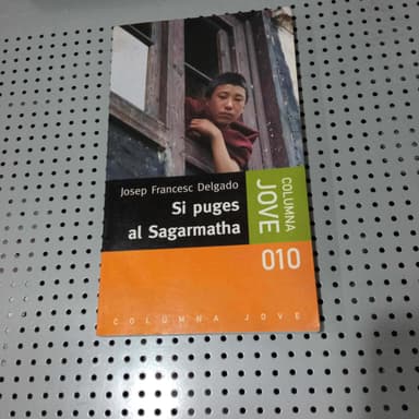 Si puges al Sagarmatha quan fumeja neu i vent