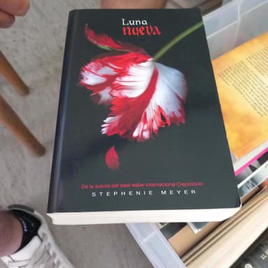 Luna nueva