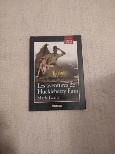 Les aventures de Huckleberry Finn
