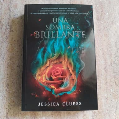 Una sombra brillante y ardiente (El reino en llamas 1)