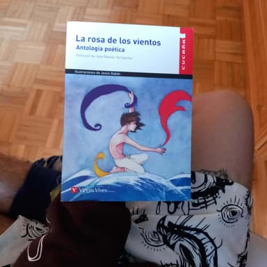 La rosa de los vientos