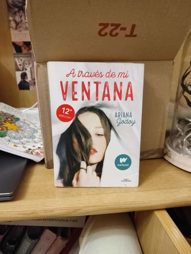A través de mi ventana