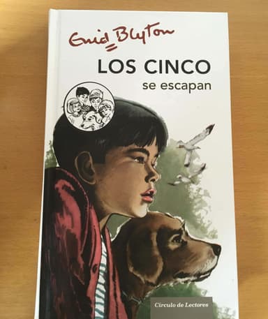 Los cinco se escapan