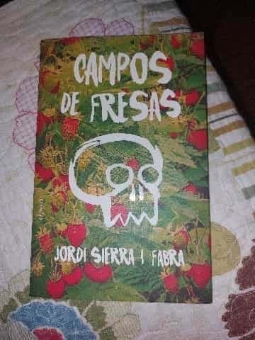 CAMPOS DE FRESAS