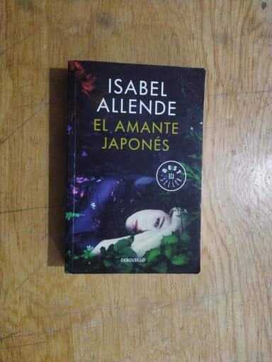 EL AMANTE JAPONES