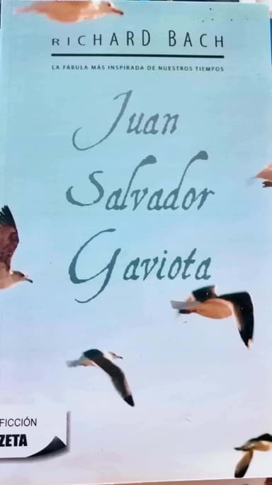 Juan Salvador Gaviota
