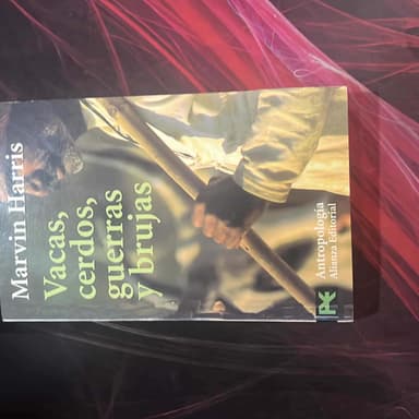 Vacas, cerdos, guerras y brujas