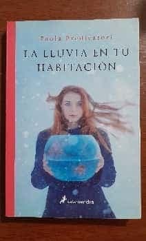 La Lluvia en tu Habitación