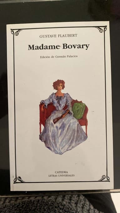 Madame Bovary  Madam Bovary