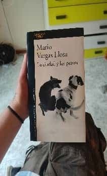 La ciudad y los perros