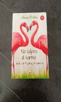 No culpes al karma de lo que te pasa por gilipollas