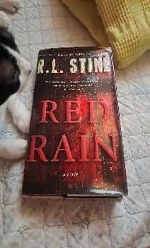 Red Rain