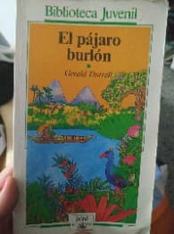 El pajaro burlon