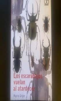 Los escarabajos vuelan al atardecer