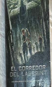 El corredor del laberint