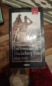 Les aventures de Huckleberry Finn