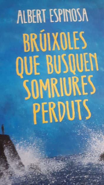BRUIXOLES QUE BUSQUEN SOMRIURES PERDUTS