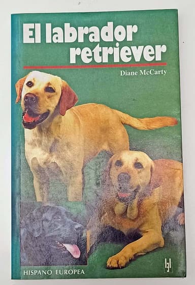 El Labrador Retriever
