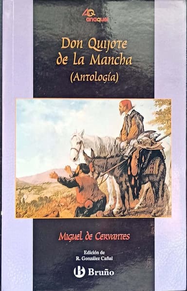 Don Quijote de la Mancha