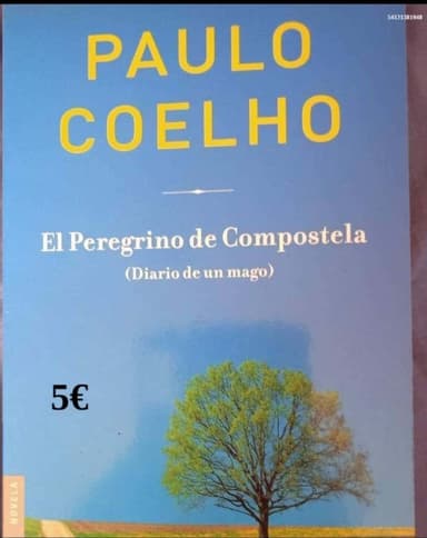 El peregrino de Compostela (Diario de un mago)