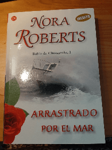 Arrastrado por el mar