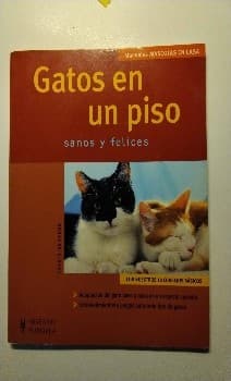 Gatitos en un piso sanos y felices